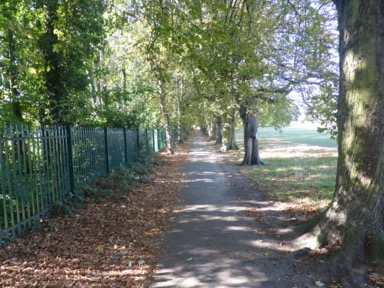 F0AC7CDE-FF65-4EE3-9622-31DBC42E830E