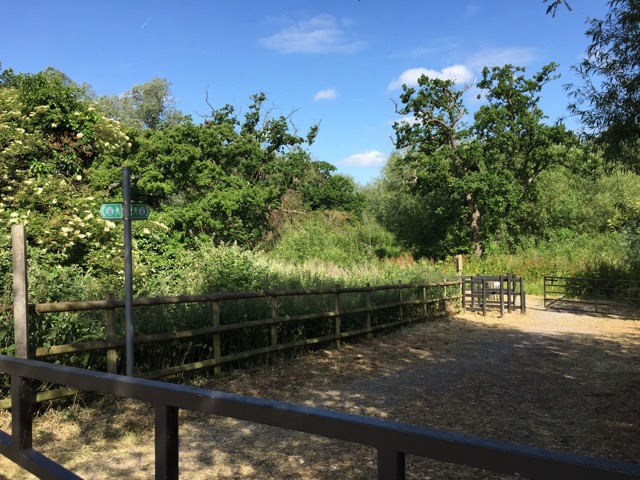 10.6.2015 ( Section 8 )