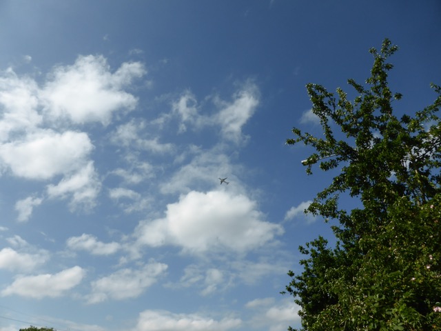 10.6.2015 ( Section 8 )