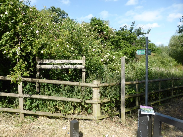 10.6.2015 ( Section 8 )