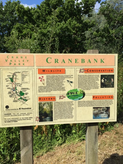 10.6.2015 ( Section 8 )