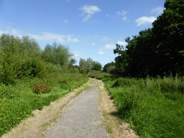 10.6.2015 ( Section 8 )