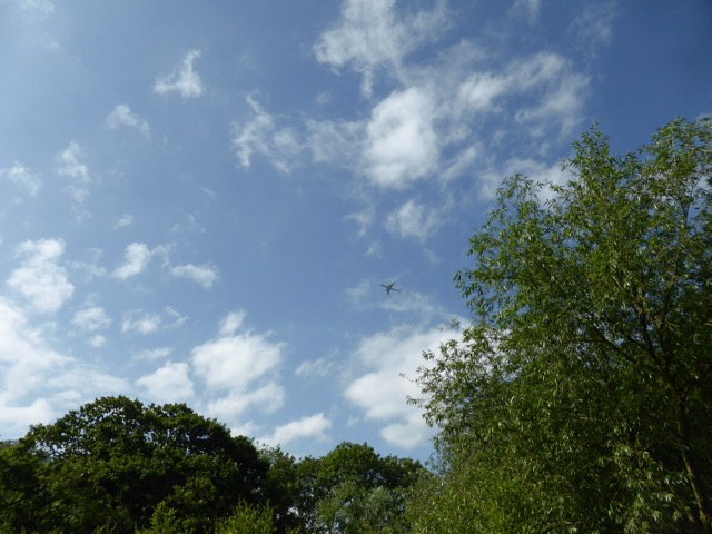 10.6.2015 ( Section 8 )