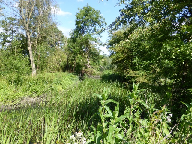 10.6.2015 ( Section 8 )