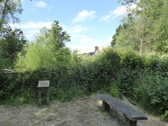 10.6.2015 ( Section 8 )