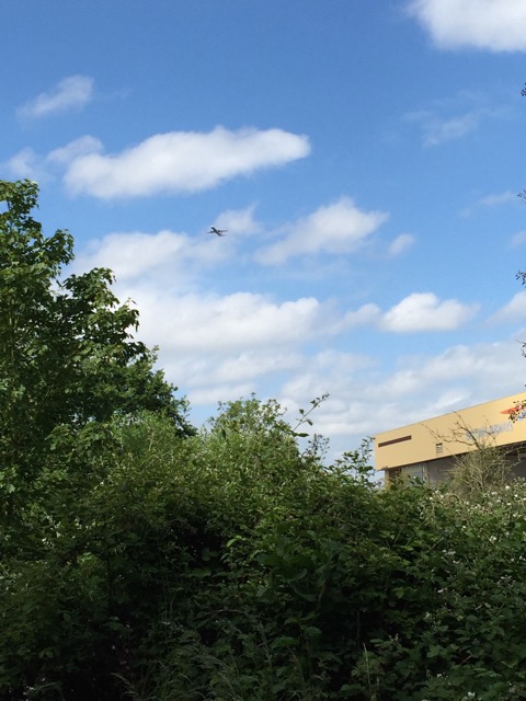 10.6.2015 ( Section 8 )