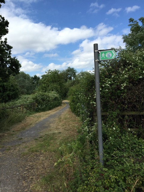 10.6.2015 ( Section 8 )