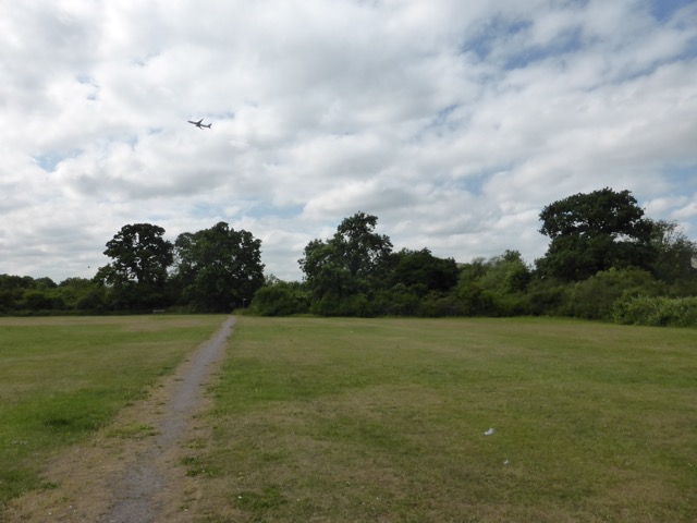 10.6.2015 ( Section 8 )