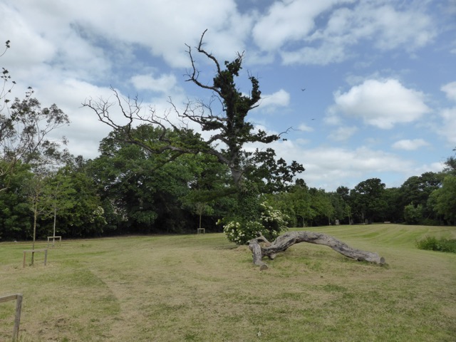 10.6.2015 ( Section 8 )