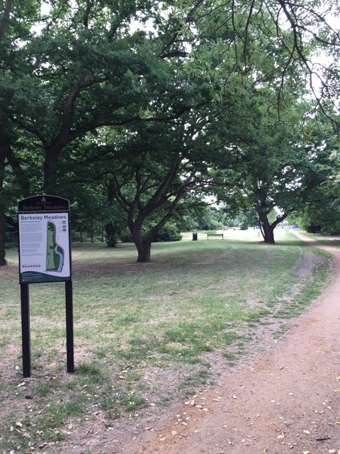 10.6.2015 ( Section 8 )