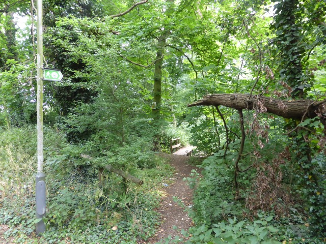 10.6.2015 ( Section 8 )