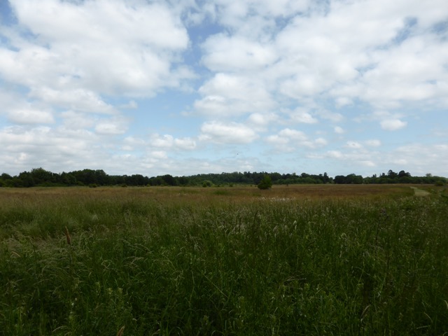 10.6.2015 ( Section 8 )