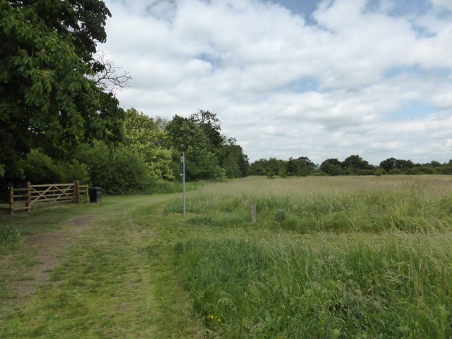 10.6.2015 ( Section 8 )