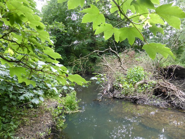 10.6.2015 ( Section 8 )