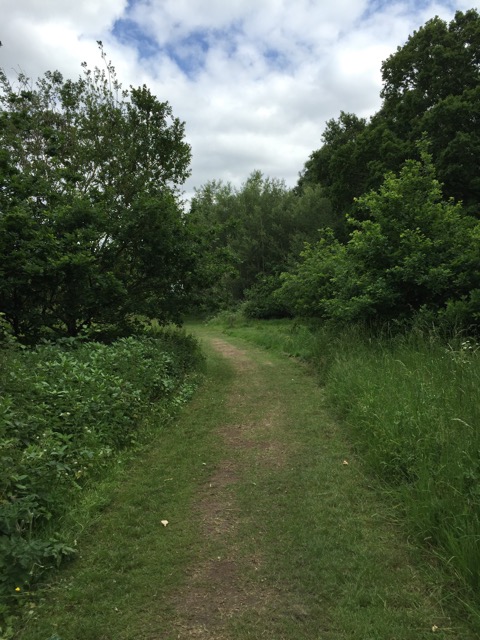 10.6.2015 ( Section 8 )