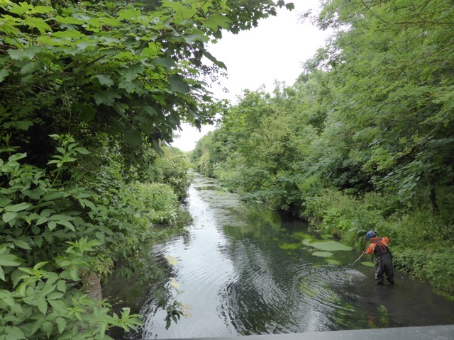 10.6.2015 ( Section 8 )