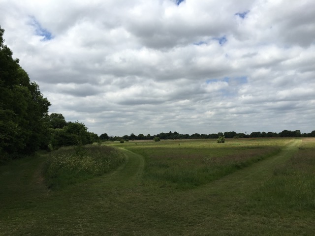 10.6.2015 ( Section 8 )