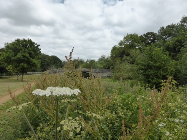 10.6.2015 ( Section 8 )