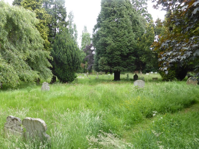 10.6.2015 ( Section 8 )