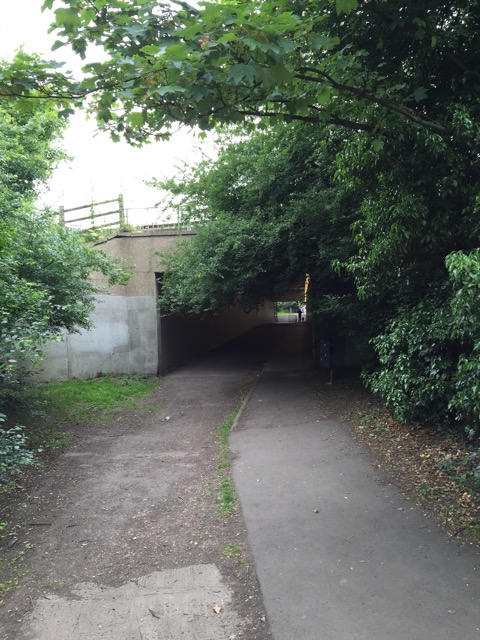 10.6.2015 ( Section 8 )