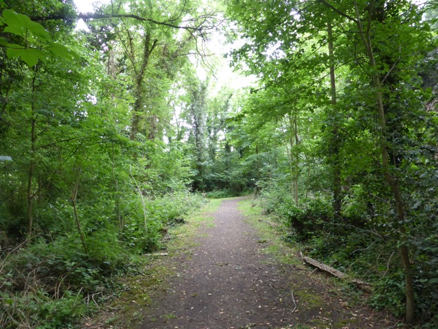 10.6.2015 ( Section 8 )