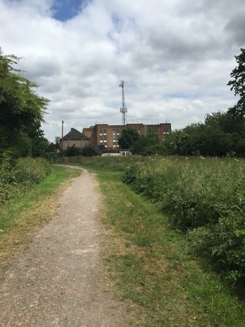 10.6.2015 ( Section 8 )