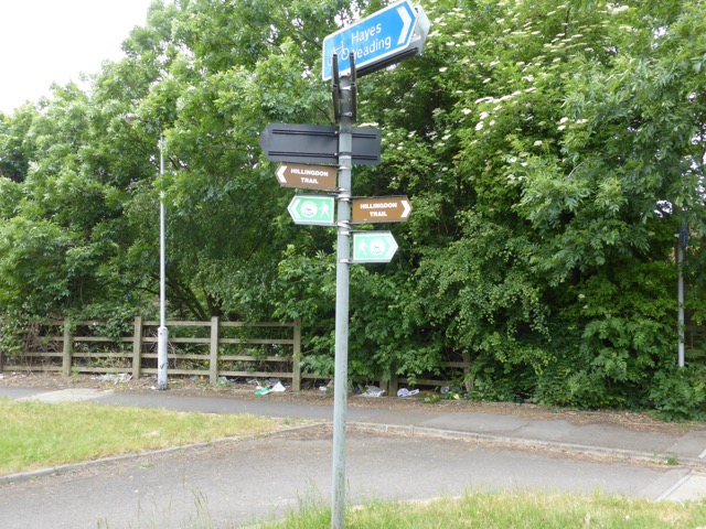 10.6.2015 ( Section 8 )