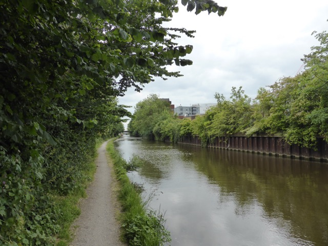 10.6.2015 ( Section 8 )