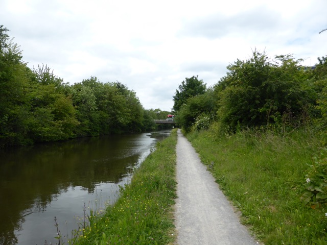 10.6.2015 ( Section 8 )