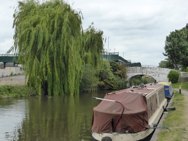 10.6.2015 ( Section 8 )