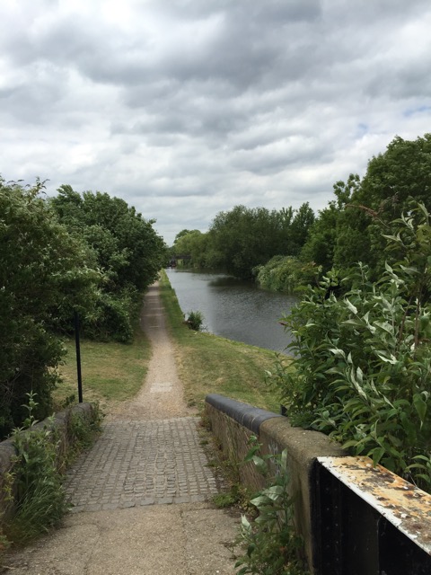 10.6.2015 ( Section 8 )