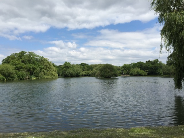 10.6.2015 ( Section 8 )