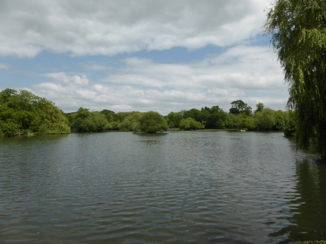 10.6.2015 ( Section 8 )