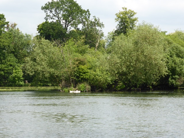 10.6.2015 ( Section 8 )