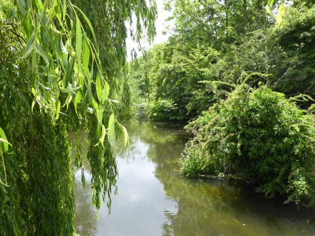 10.6.2015 ( Section 8 )