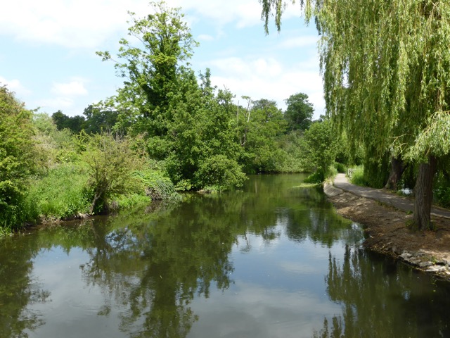 10.6.2015 ( Section 8 )