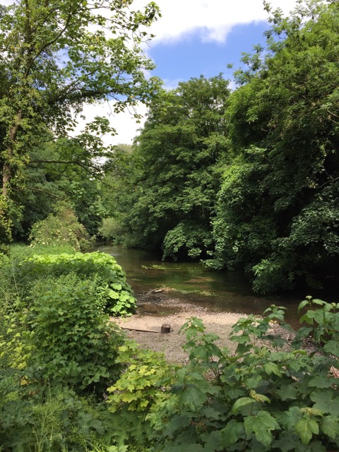 10.6.2015 ( Section 8 )