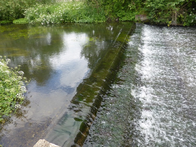 10.6.2015 ( Section 8 )