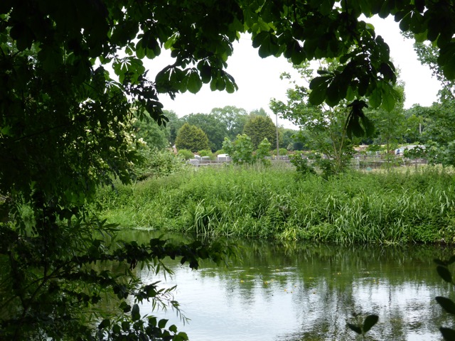 10.6.2015 ( Section 8 )