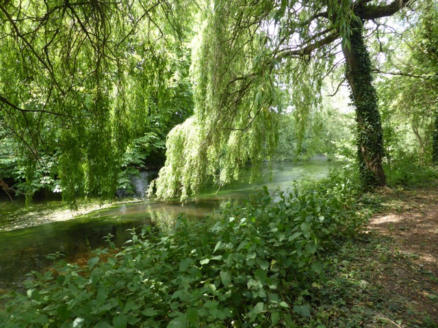 10.6.2015 ( Section 8 )