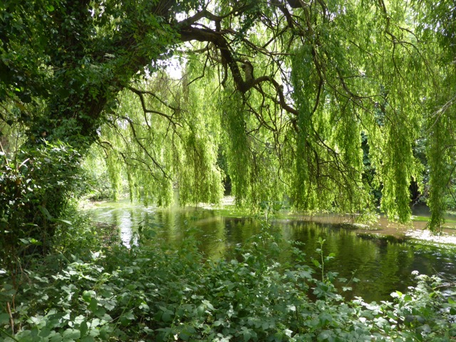 10.6.2015 ( Section 8 )