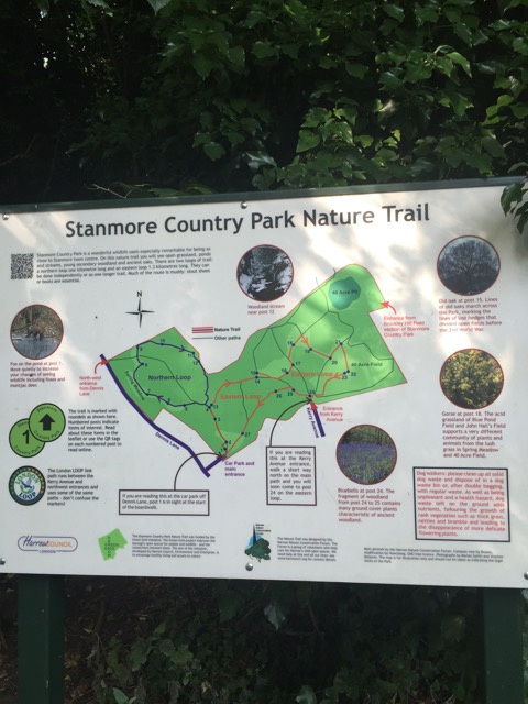 17.8.2016 ( Section 11 )