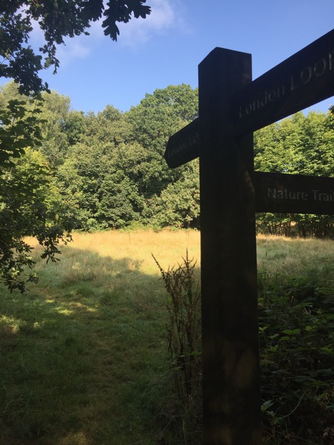 17.8.2016 ( Section 11 )