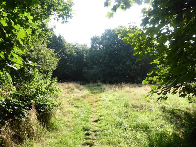 17.8.2016 ( Section 11 )