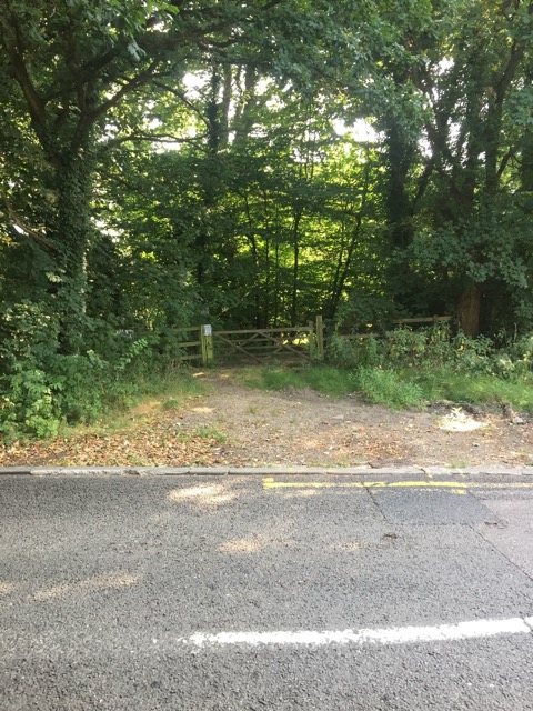 17.8.2016 ( Section 11 )