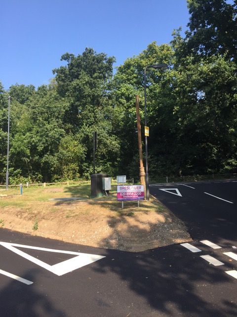 17.8.2016 ( Section 11 )