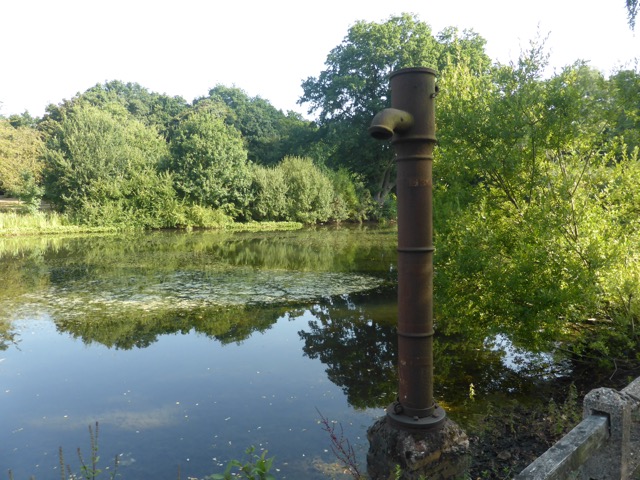 17.8.2016 ( Section 11 )