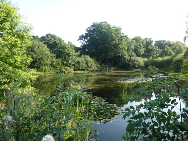 17.8.2016 ( Section 11 )