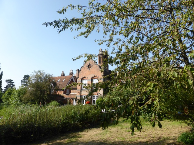 17.8.2016 ( Section 11 )