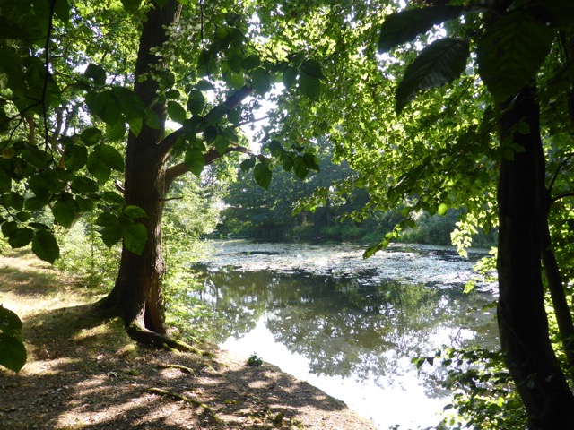 17.8.2016 ( Section 11 )